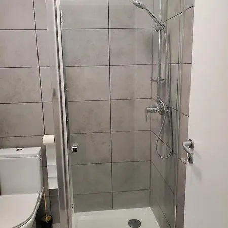 Basarab 4 *